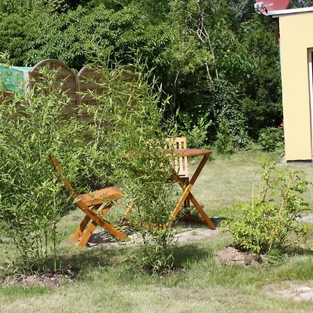 Oeko-ferienwohnung-kiel Sturmmoewe * Kiel