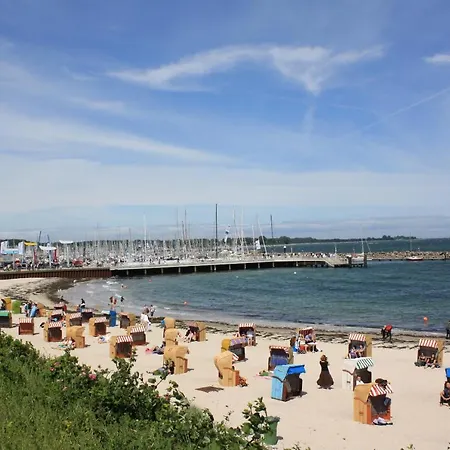 Oeko-ferienwohnung-kiel Sturmmoewe * Kiel
