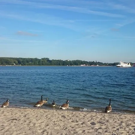 Oeko-ferienwohnung-kiel Sturmmoewe Appartement Kiel